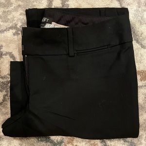 Ann Taylor Loft Marisa Trouser Pants